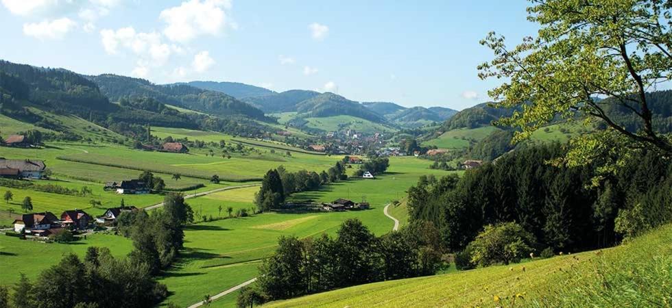 Gasthaus Zum Wilden Mann Welschensteinach Экстерьер фото